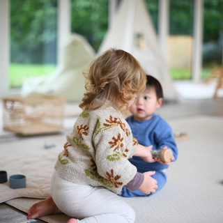 Toddlers playing with a toy together