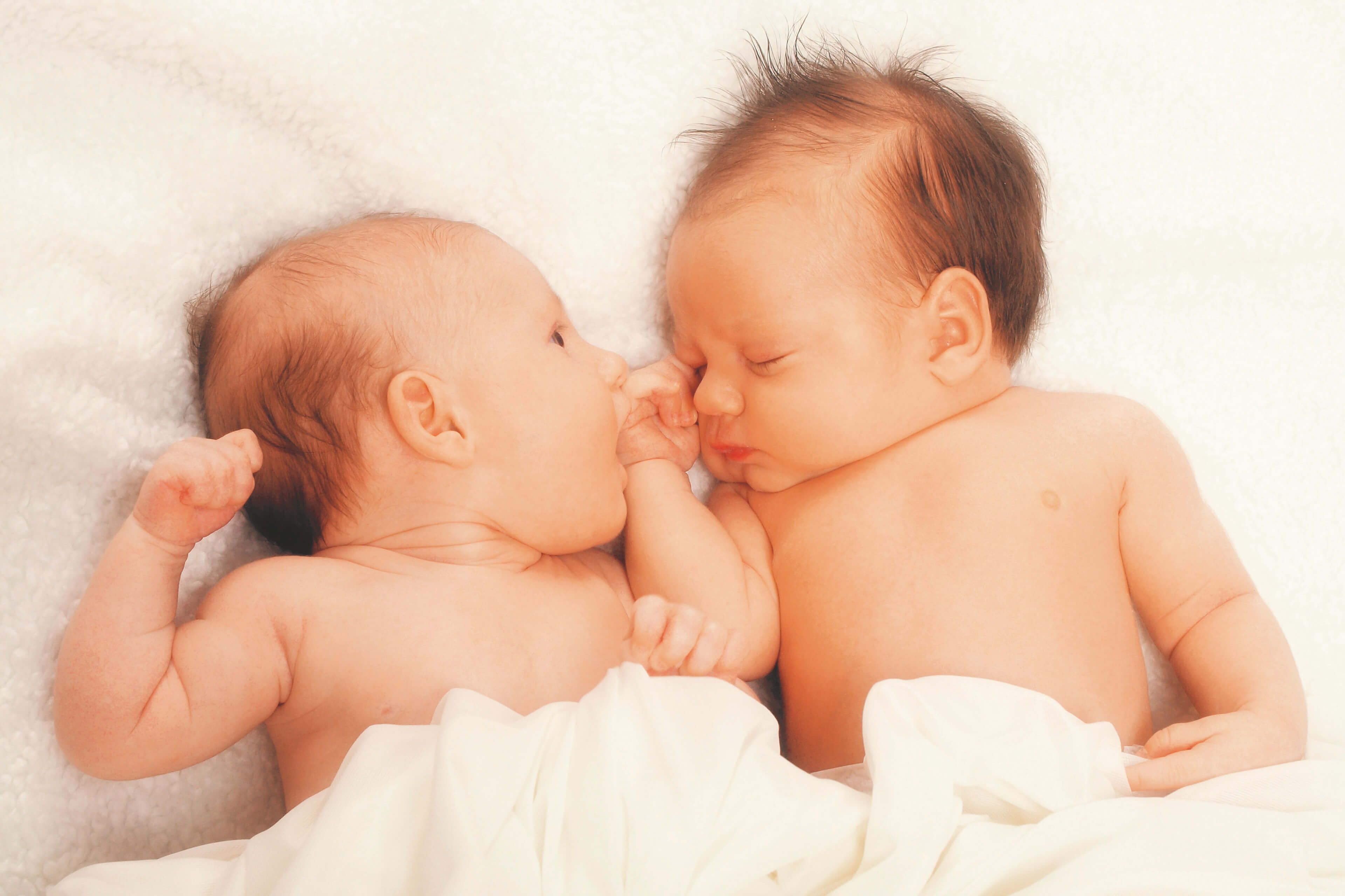 Zwei Säuglinge liegen dicht nebeneinander auf einer weißen Fläche, wobei ein Baby die Hand des anderen berührt.