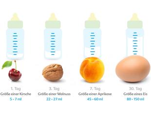 Grafik: Entwicklung der Babymagengröße vom 1. bis 30. Tag, veranschaulicht mit Kirsch-, Walnuss-, Aprikosen- und Ei-Größe in ml