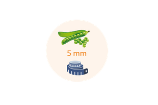 Eine grüne Erbsenschote mit einem Maßband daneben, über dem der Text "Größe 5 mm" steht.
