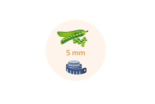 Eine grüne Erbsenschote mit einem Maßband daneben, über dem der Text "Größe 5 mm" steht.