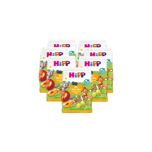 Sieben Packungen HiPP Bio Mini Mix Müsliriegel 7x100g mit fruchtigen Motiven auf weiß-grünem Hintergrund