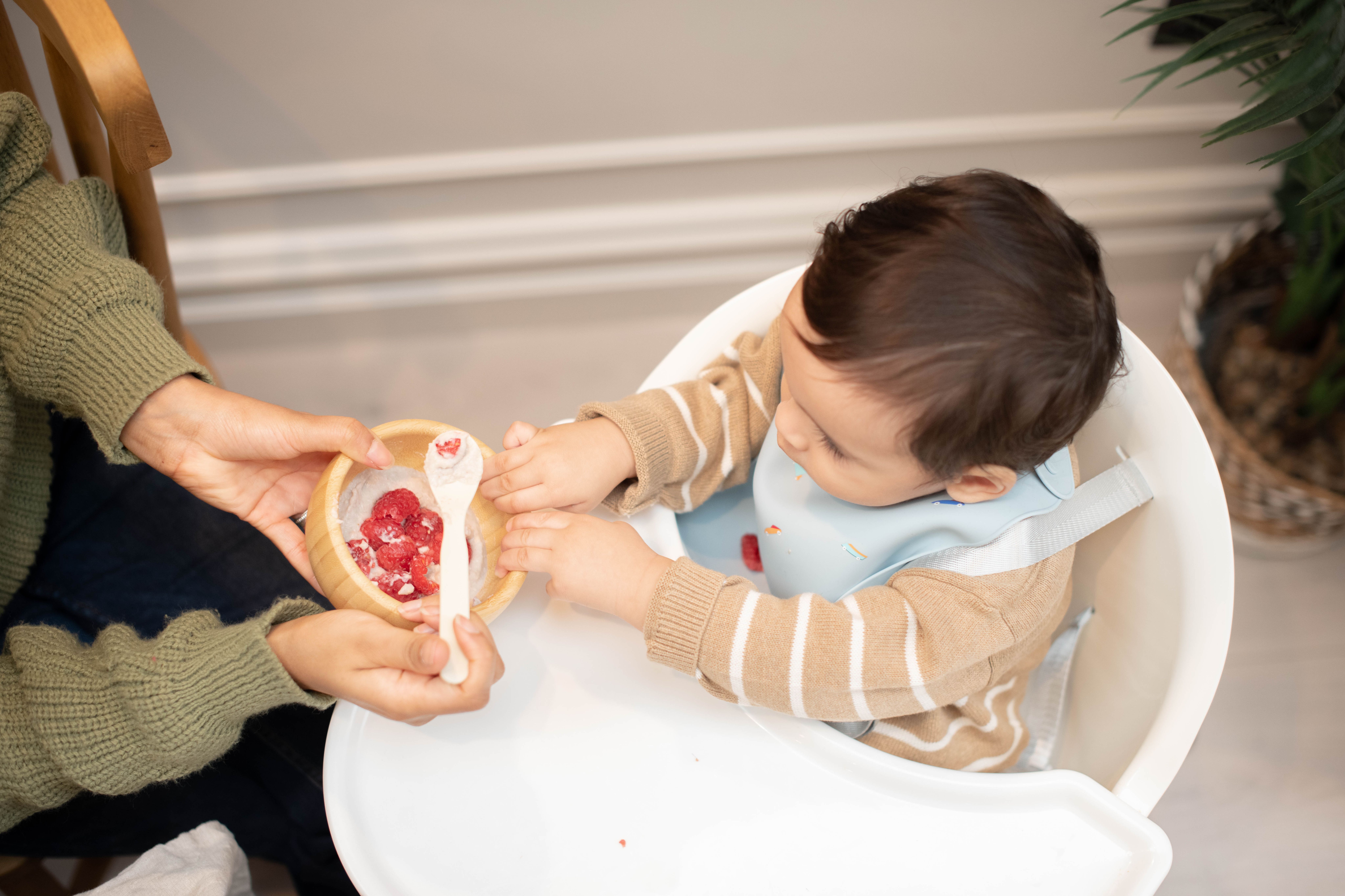 Baby in a highchair exploring a bowl of fruit with a parent, showing early fussy eating and mealtime learning