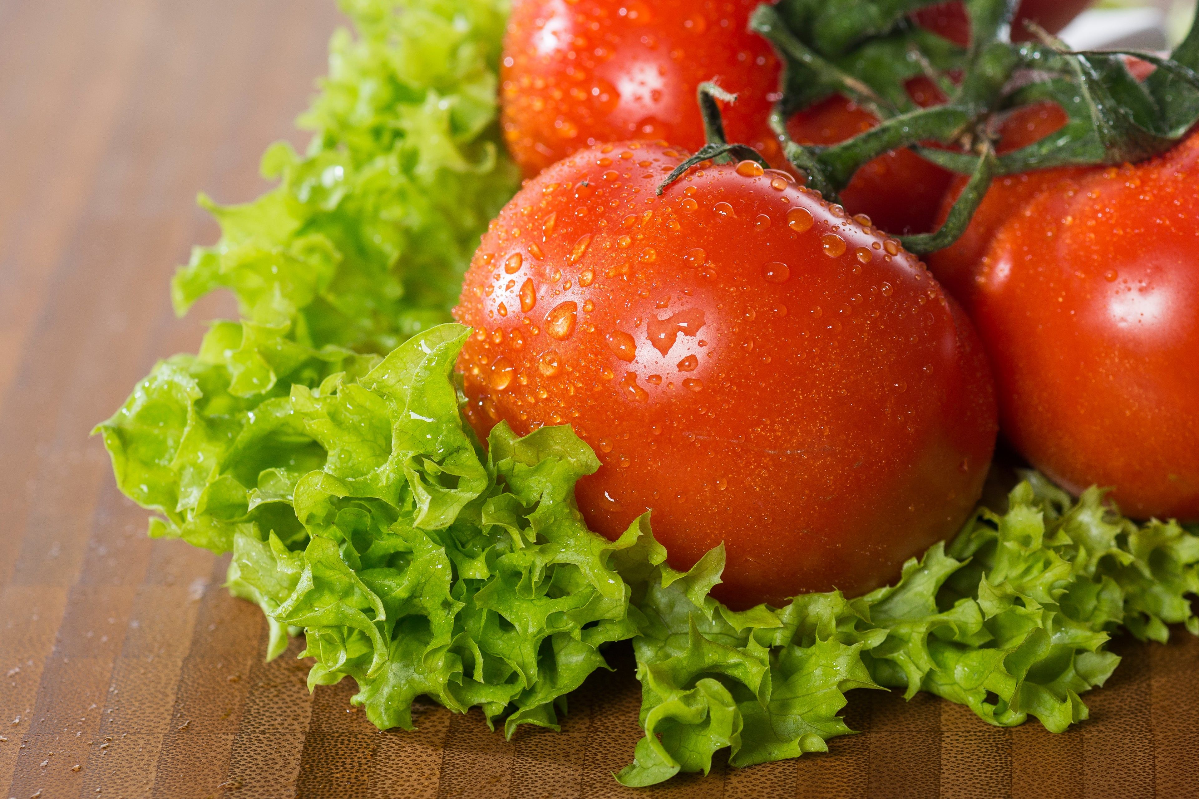 Frische Tomaten mit Wassertropfen auf der Oberfläche, auf einem Bett aus grünem Kopfsalat.