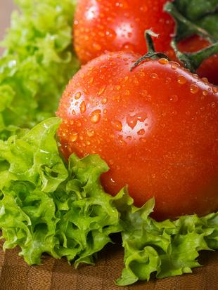 Frische Tomaten mit Wassertropfen auf der Oberfläche, auf einem Bett aus grünem Kopfsalat.