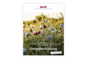 Eine ruhige Naturlandschaft bei Sonnenuntergang mit hohen Gräsern und Wildblumen, begleitet von einem Banner mit der Aufschrift Umwelterklärung