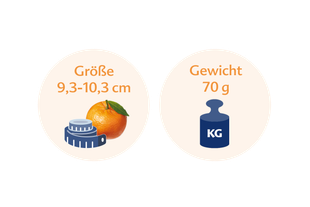 Ein Vergleich zwischen der Größe einer Orange und ihrem Gewicht in Kilogramm, wobei die Orange 9,3-10,3 cm groß ist und 70 g wiegt.