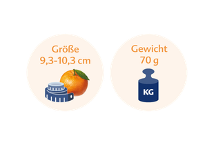 Ein Vergleich zwischen der Größe einer Orange und ihrem Gewicht in Kilogramm, wobei die Orange 9,3-10,3 cm groß ist und 70 g wiegt.