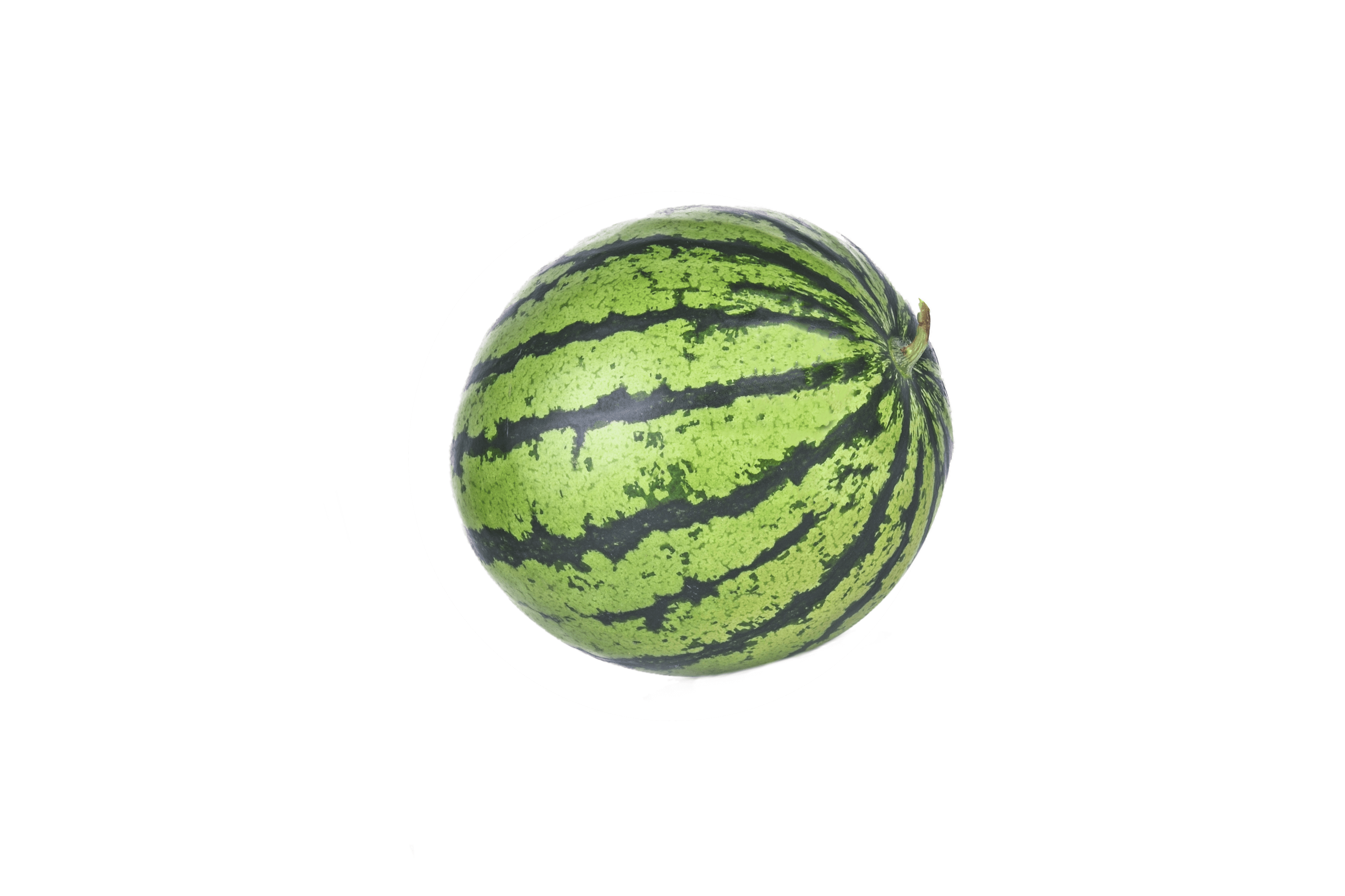 Eine runde, grüne Wassermelone mit schwarzen Streifen.