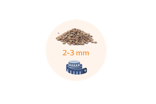 Ein Stapel Linsen neben einem blauen Maßband, über dem der Text "GröSe 2-3 mm" steht.