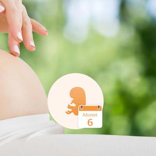 Eine Nahaufnahme des Bauches einer schwangeren Frau, die von einer Hand sanft berührt wird, und die Abbildung eines Babys in einem Kreis mit der Jahreszahl "6 Monate" daneben.