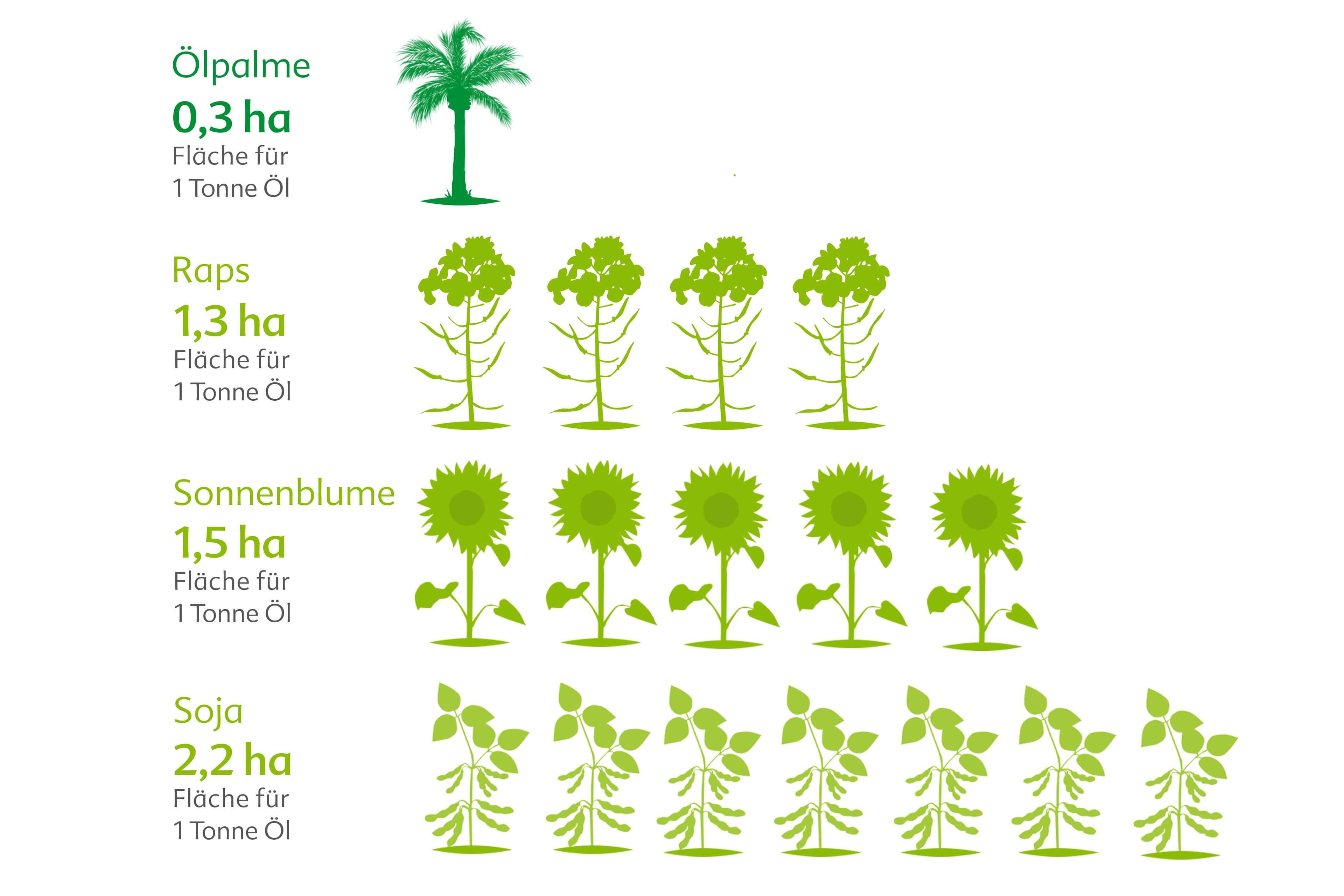 Grafik vergleicht Flächenbedarf: Ölpalme 0,3 ha, Raps 1,3 ha, Sonnenblume 1,5 ha, Soja 2,2 ha pro Tonne Öl mit Pflanzensymbolen.