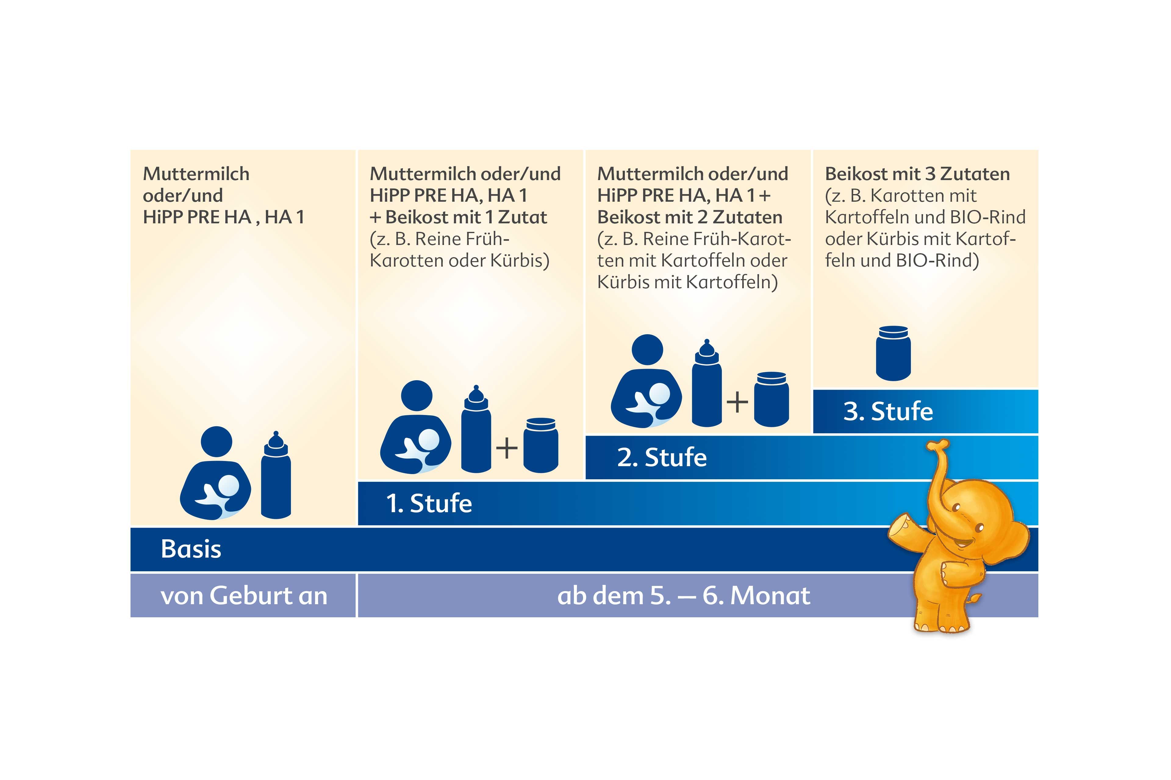  	Die empfohlenen Fütterungszeiten für Säuglinge in Abhängigkeit vom Alter, mit einer visuellen Darstellung eines Babys und einer Flasche für jede Phase.