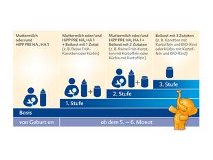 Die empfohlenen Fütterungszeiten für Säuglinge in Abhängigkeit vom Alter, mit einer visuellen Darstellung eines Babys und einer Flasche für jede Phase.