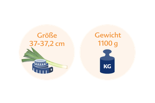 Ein Vergleich zweier Gegenstände: eine grüne Zwiebel mit einem Maßband daneben und eine blaue Waage mit dem Buchstaben "KG" darauf.