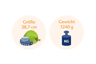Eine grüne Kokosnuss neben einer blauen Waage mit den Maßen 38,7 cm bzw. 1240 g.