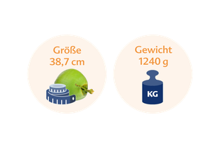 Eine grüne Kokosnuss neben einer blauen Waage mit den Maßen 38,7 cm bzw. 1240 g.
