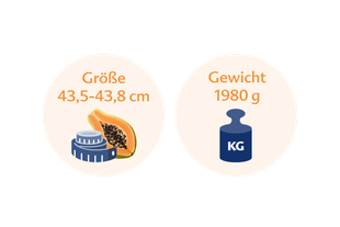 Ein Vergleich zwischen der Größe einer Person (43,5-43,8 cm) und dem Gewicht einer Papaya (1980 g).