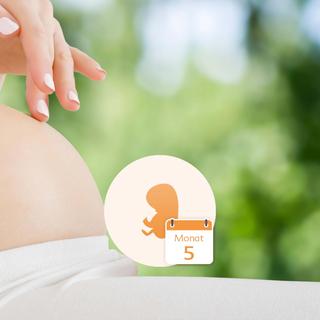 Nahaufnahme des Bauches einer schwangeren Frau mit einer Hand, die ihn sanft berührt, und einer Grafik eines Fötus innerhalb eines Kreises, neben dem das Datum "Monat 5" steht.