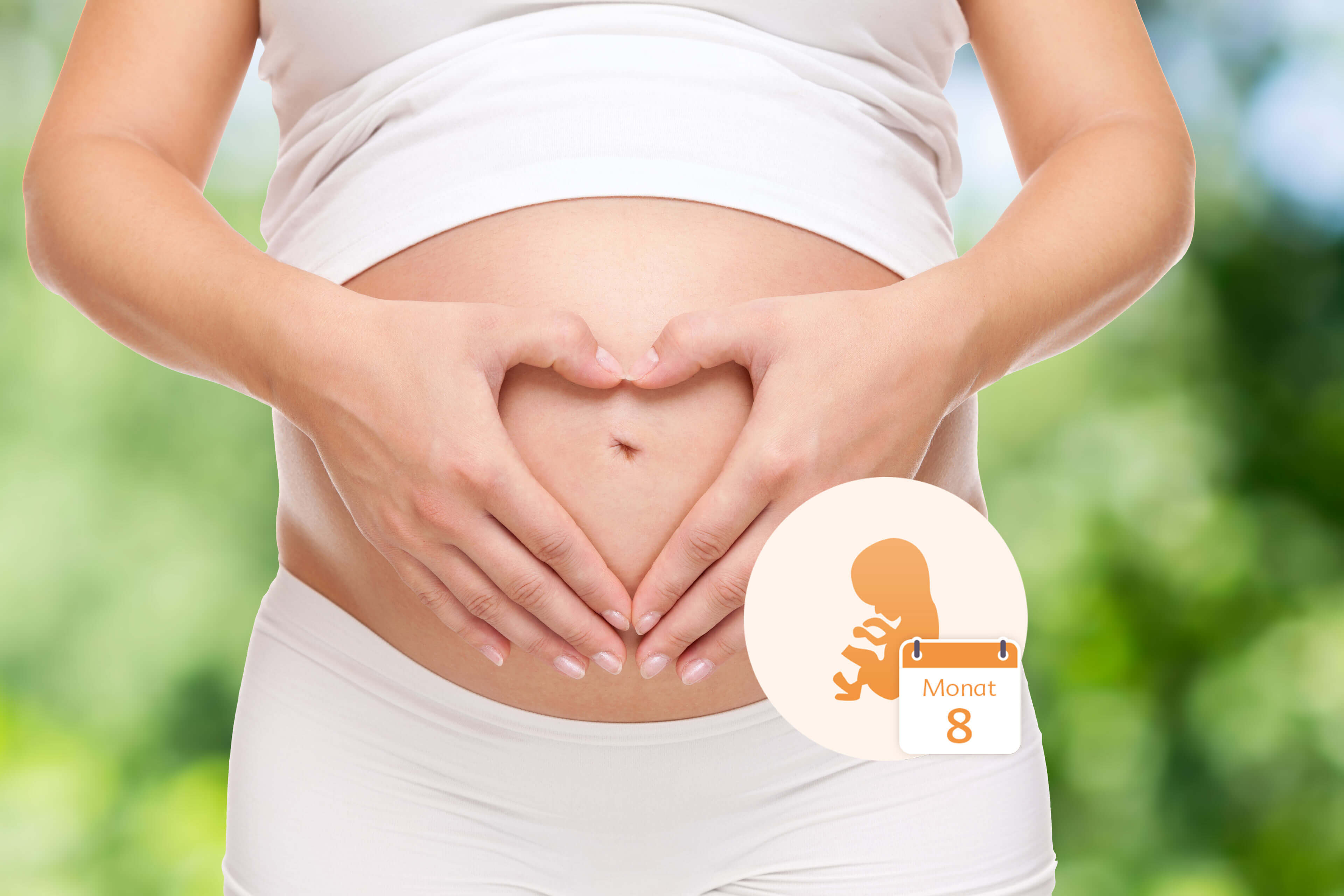 Der Bauch einer schwangeren Frau, über dem ihre Hände ein Herz bilden, und die Grafik eines Babys in einem Kreis, auf dem das Datum "Monat 8" steht.