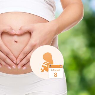 Der Bauch einer schwangeren Frau, über dem ihre Hände ein Herz bilden, und die Grafik eines Babys in einem Kreis, auf dem das Datum "Monat 8" steht.
