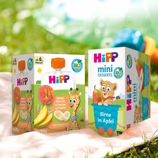 Zwei Fruchtschachteln mit der Aufschrift "Hipp" und verschiedenen Fruchtkombinationen, die auf einer Decke im Freien stehen, mit Blumen im Hintergrund.