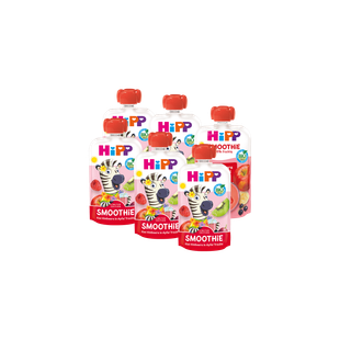 HiPP Bio Smoothie Quetschbeutel 8x100g mit Zebra-Motiv, fruchtiger Snack für unterwegs