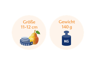 Eine Birne mit einem Maßband daneben, daneben eine blaue Waage mit der Aufschrift "KG".