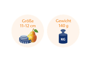 Eine Birne mit einem Maßband daneben, daneben eine blaue Waage mit der Aufschrift "KG".