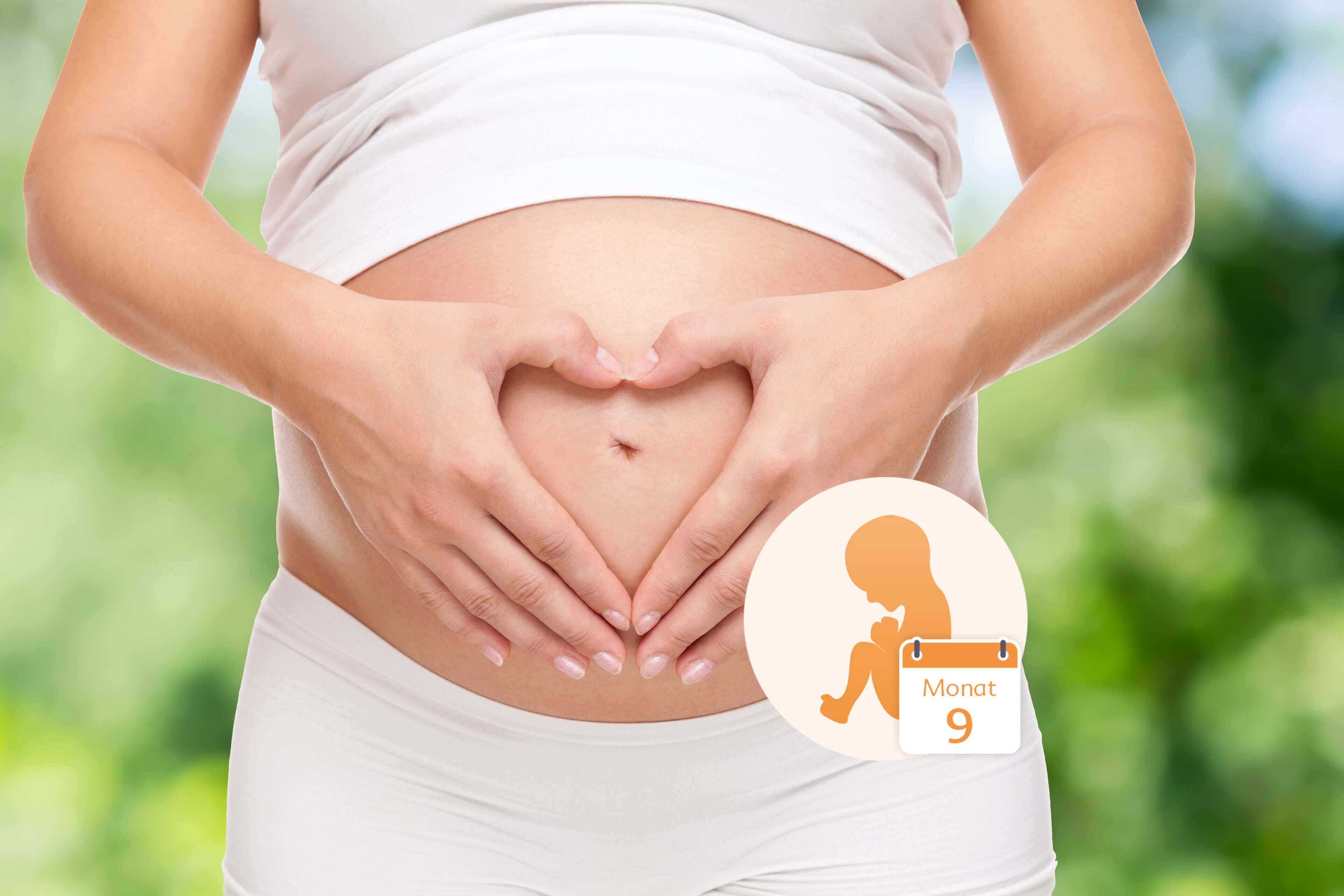 Der Bauch einer schwangeren Frau, über dem ihre Hände ein Herz bilden, und die Grafik eines Babys in einem Kreis, auf dem das Datum "Monat 9" steht.
