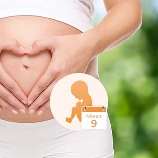 Ein schwangerer Frauenbauch, über dem die Hände ein Herz formen, und eine Grafik eines Babys auf der rechten Seite, darunter das Datum "Monat 9".