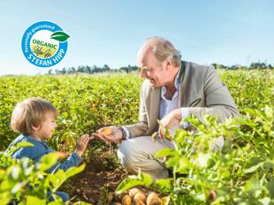 Erwachsener und Kind ernten gemeinsam Bio-Kartoffeln auf einem grünen Feld, Symbol für persönliches Qualitätsversprechen.