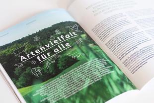 Buch aufgeschlagen