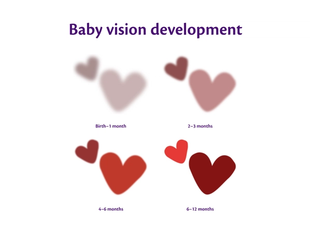 Diagram titled “Baby vision development” showing heart shapes becoming clearer and more colourful from birth to 12 months.