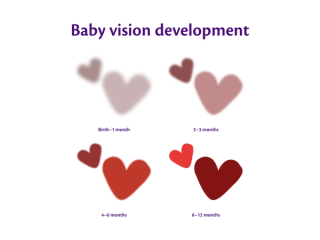 Diagram titled “Baby vision development” showing heart shapes becoming clearer and more colourful from birth to 12 months.