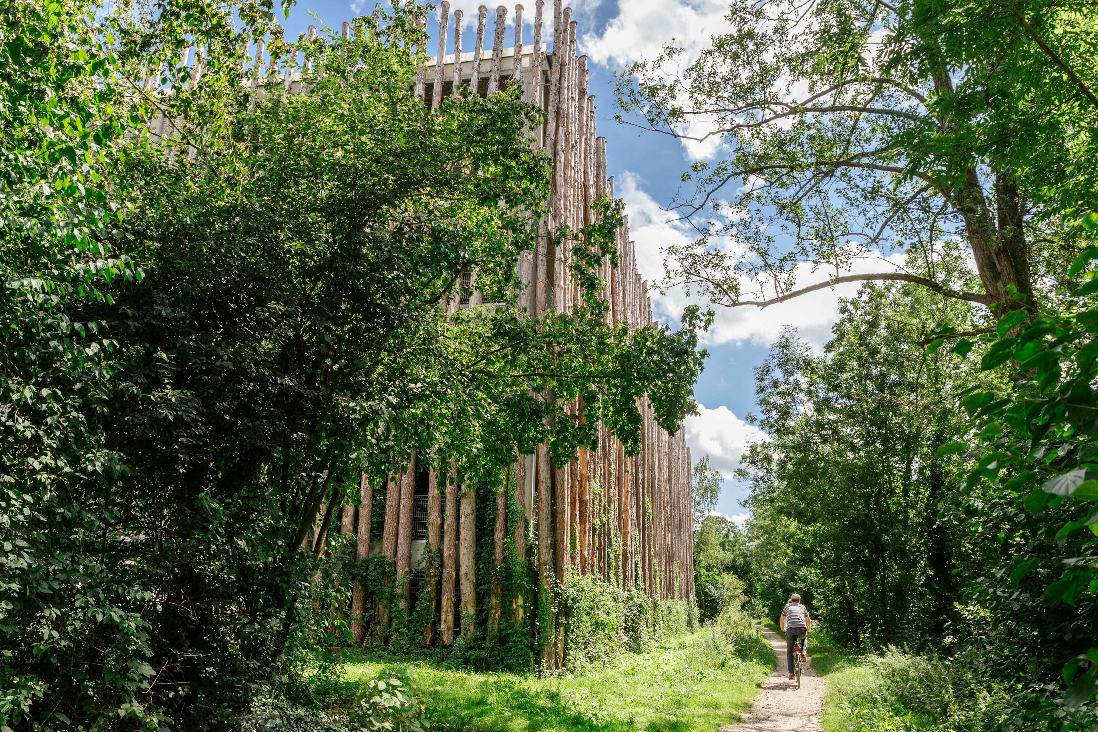 Wanderer auf einem Pfad neben einer hohen, säulenartigen Holzstruktur umgeben von dichtem Grün unter blauem Himmel mit Wolken