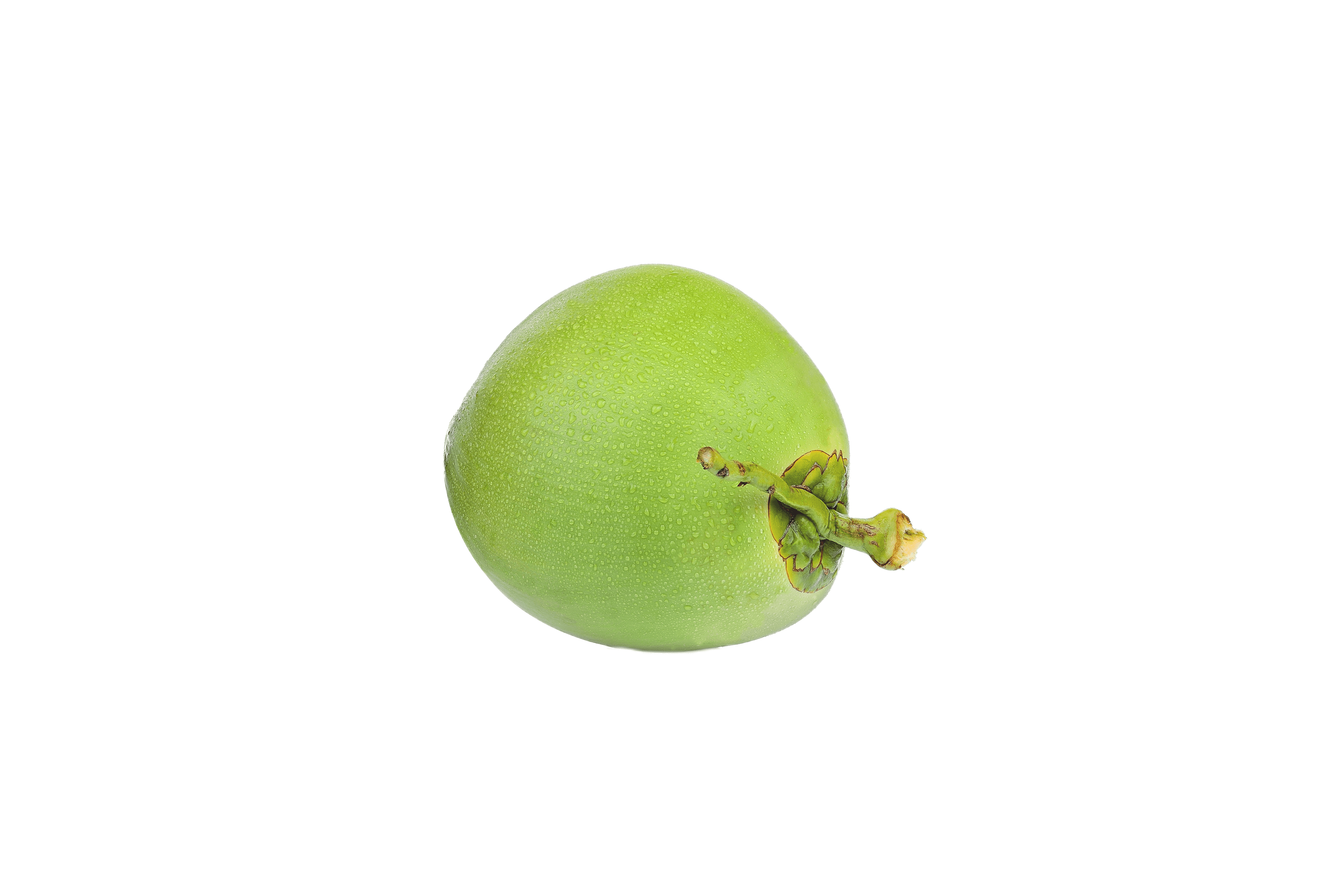 Eine grüne, runde Frucht mit einem Stiel vor einem weißen Hintergrund.