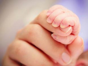 Ein zärtlicher Moment, in dem die Hand eines Babys sanft den Finger eines Erwachsenen ergreift und so die Bindung zwischen Eltern und Kind symbolisiert.