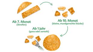 Infografik mit drei Pfannkuchenformen: längliche Streifen, kleine Stücke und ein ganzer Pfannkuchen, jeweils mit Altersangaben und Pfeilen verbunden