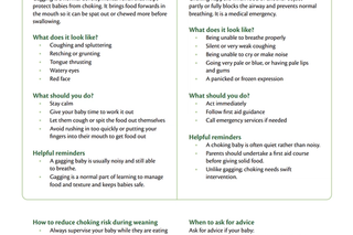 HiPP Organic's Gagging vs Choking Guide for HCPs
