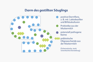 Bildüberschrift