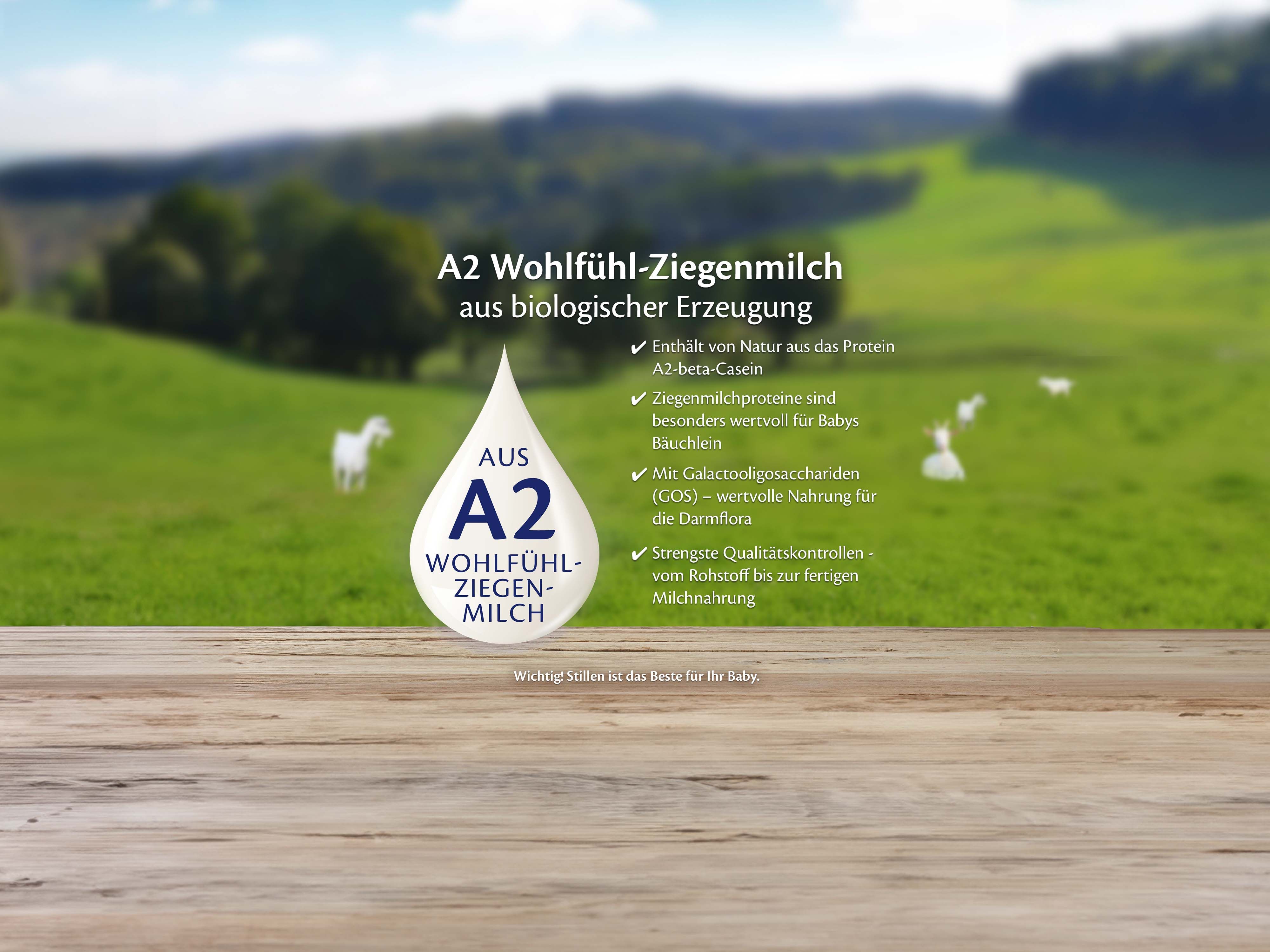 Holztisch vor grüner Weidelandschaft mit Ziegen, Text zu Vorteilen der A2 Wohlfühl-Ziegenmilch für Babys Bäuchlein