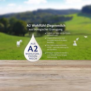 Holztisch vor grüner Weidelandschaft mit Ziegen, Text zu Vorteilen der A2 Wohlfühl-Ziegenmilch für Babys Bäuchlein