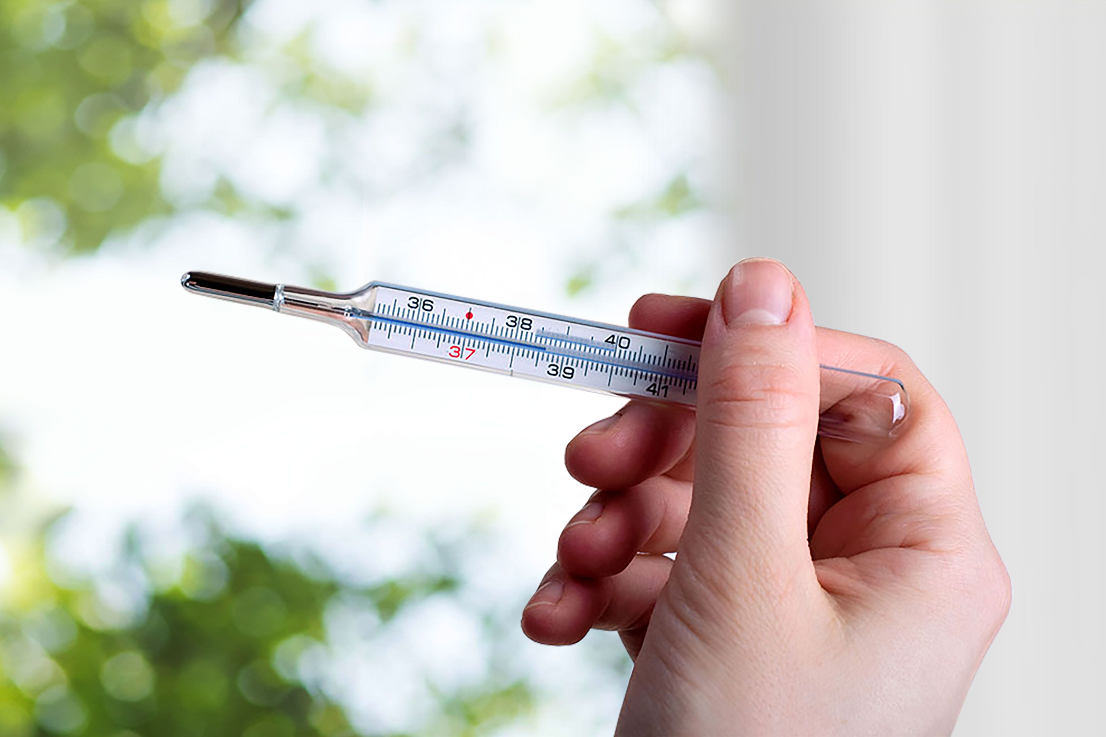 Eine Hand, die ein Thermometer hält, dessen Quecksilberwert leicht über 37 °C liegt.