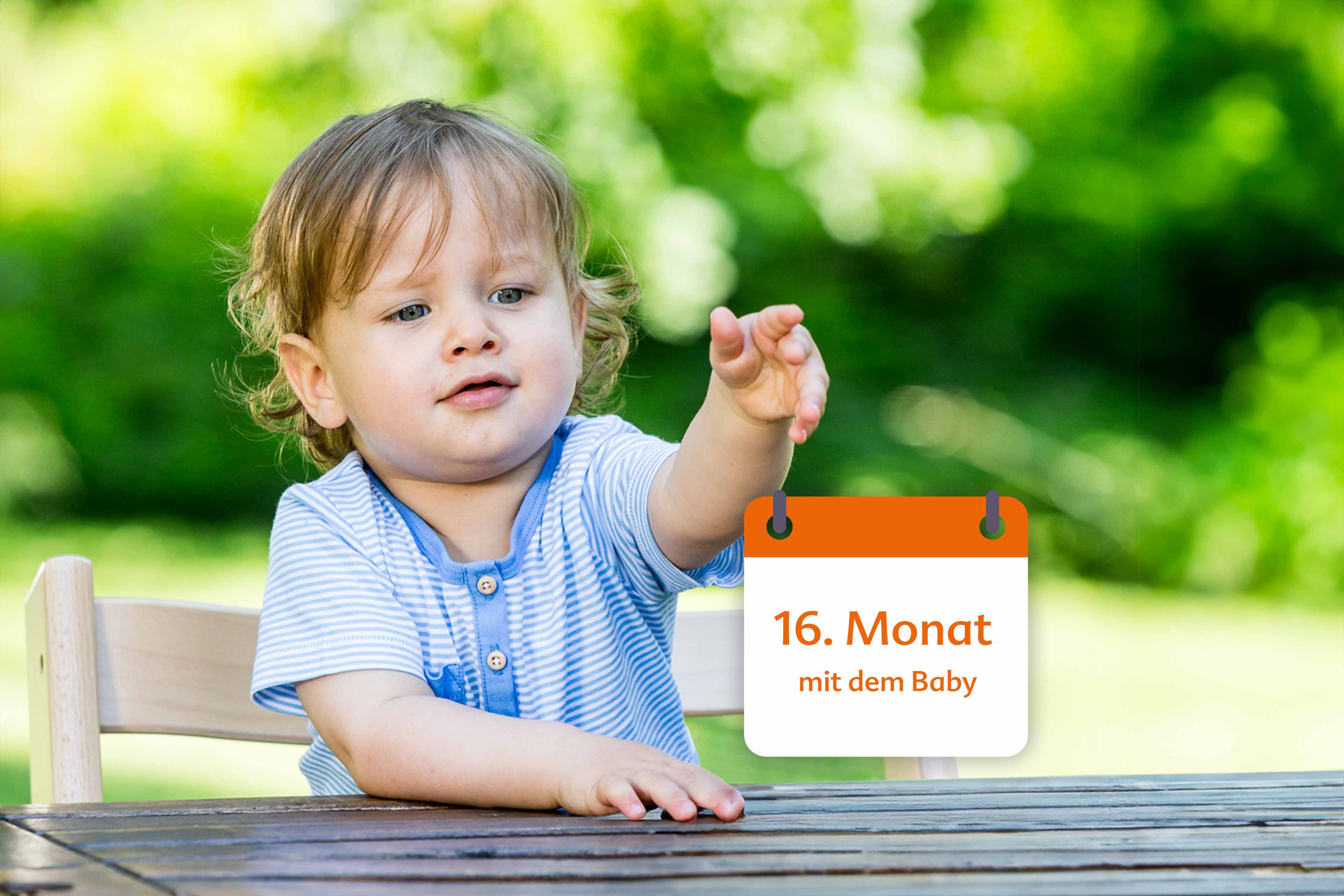 Ein kleines Kind, das auf etwas zeigt, mit einem Kalender im Hintergrund, auf dem "16. Monat mit dem Baby".
