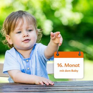 Ein kleines Kind, das auf etwas zeigt, mit einem Kalender im Hintergrund, auf dem "16. Monat mit dem Baby".