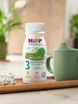HiPP Organic growing up milk ready to feed bottle next to a beaker