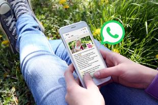 Ein Handybildschirm, der eine Werbung für ein Babyprodukt anzeigt, mit einer Frau, die im Gras sitzt, und einem grünen WhatsApp-Logo im Hintergrund.