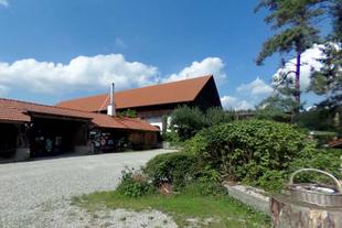 Ehrensberger Hof mit roten Scheunendächern, Kieshof und üppigem Grün unter blauem Himmel als HiPP Musterbetrieb für biologische Vielfalt.