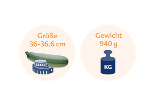 Eine Zucchini mit einer Größe von 36-36,6 cm und einem Gewicht von 940 g, daneben eine blaue Waage mit der Aufschrift "KG".